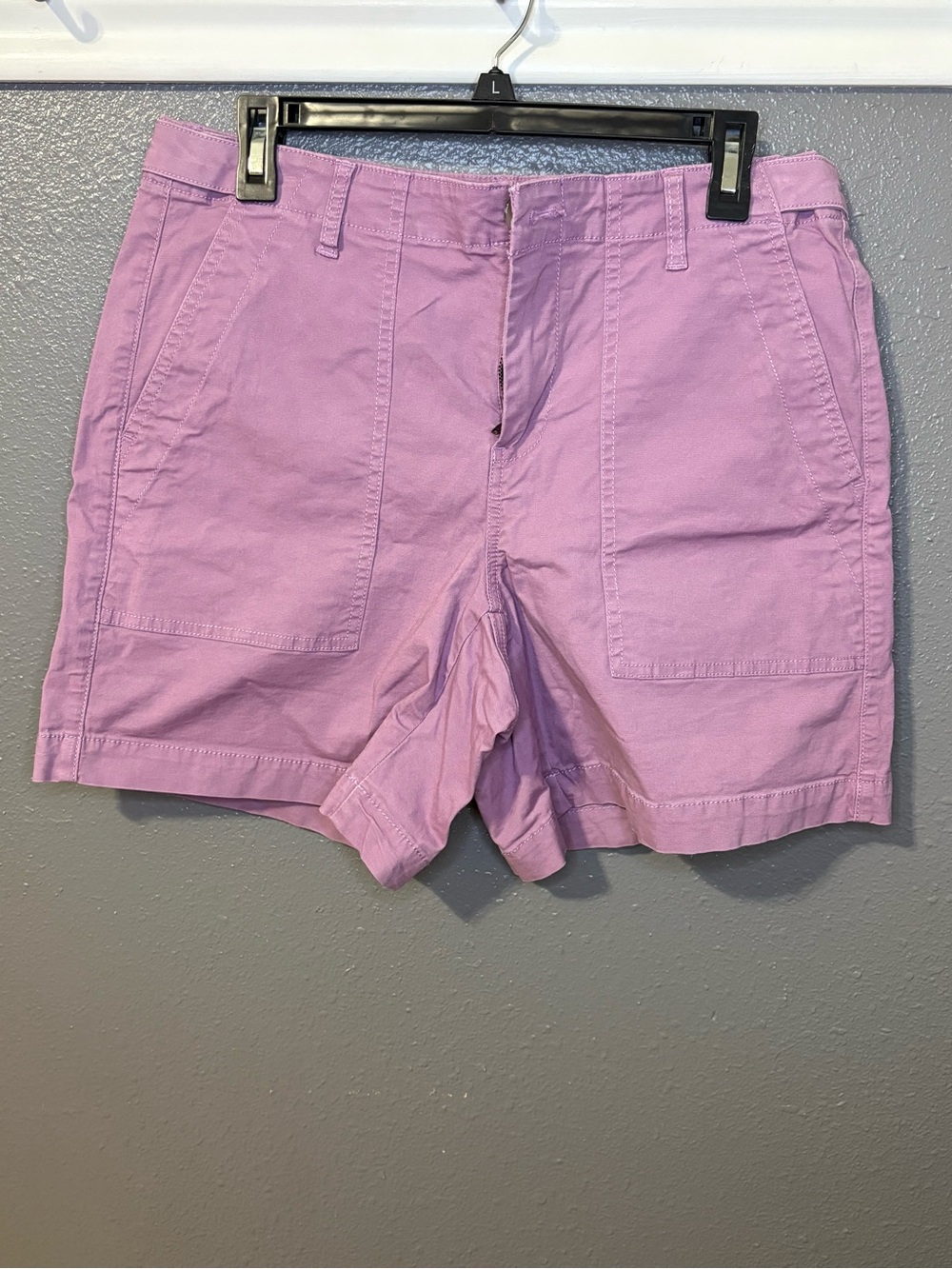 Cabi Women's Lavender Casual Shorts size 8 (SKU 222)